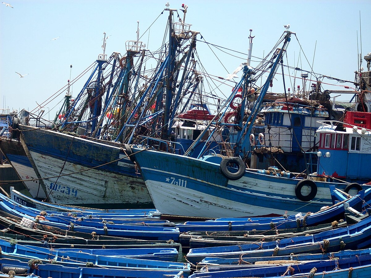 Pêche maritime: la CNSS lance sa plateforme "Portail DAMAN BAHRI"